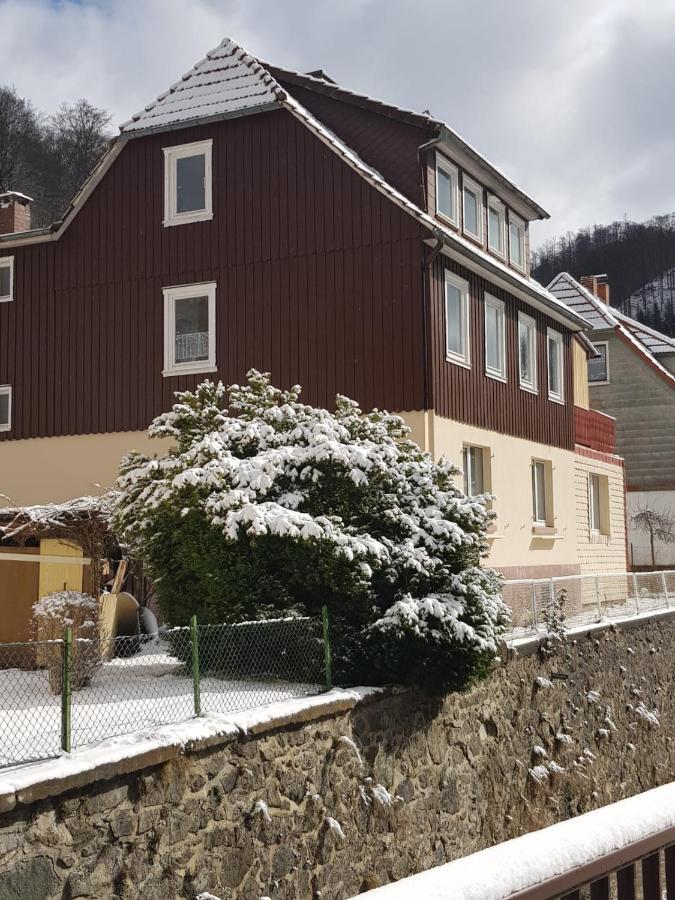 Haus Am Fluss Mit Wunderschoener Dachterrasse Mit Flussblick ,Garten Und Grill Цорге Экстерьер фото