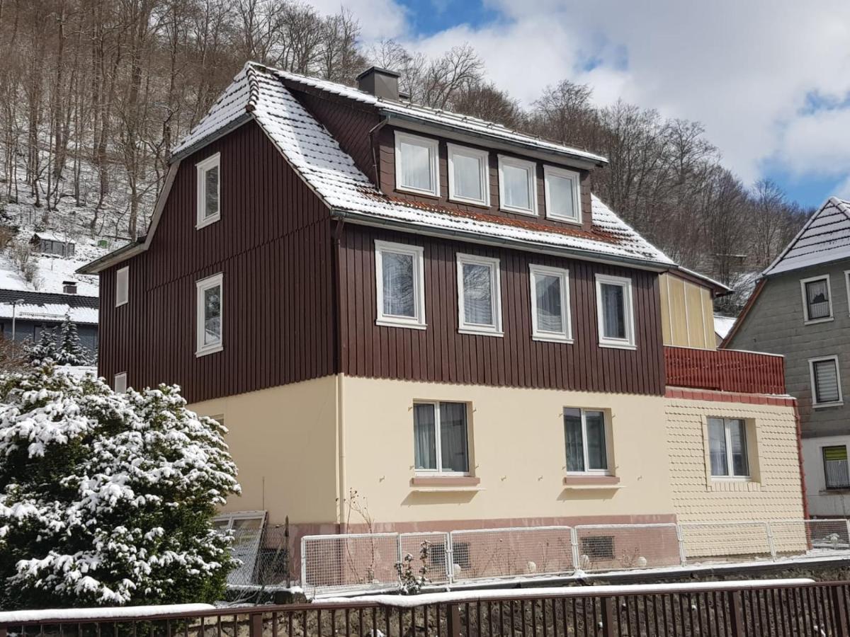 Haus Am Fluss Mit Wunderschoener Dachterrasse Mit Flussblick ,Garten Und Grill Цорге Экстерьер фото