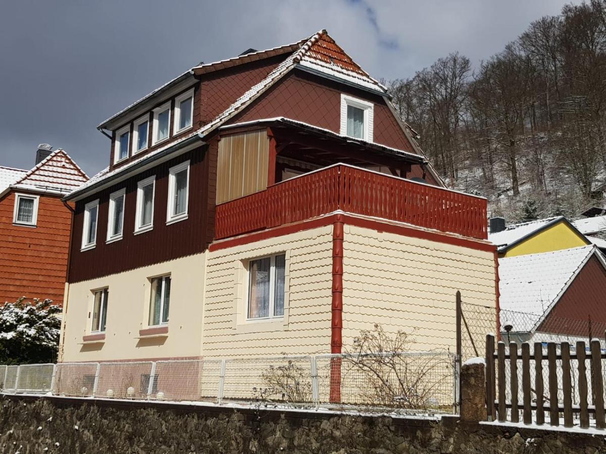 Haus Am Fluss Mit Wunderschoener Dachterrasse Mit Flussblick ,Garten Und Grill Цорге Экстерьер фото