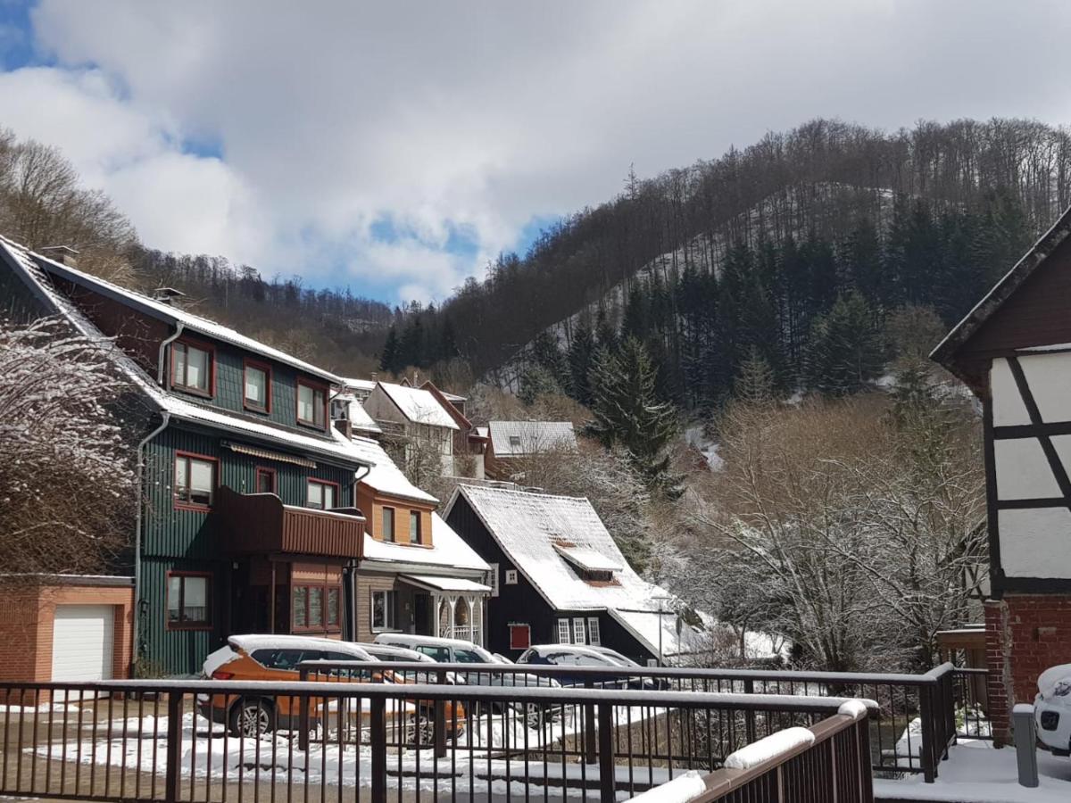 Haus Am Fluss Mit Wunderschoener Dachterrasse Mit Flussblick ,Garten Und Grill Цорге Экстерьер фото